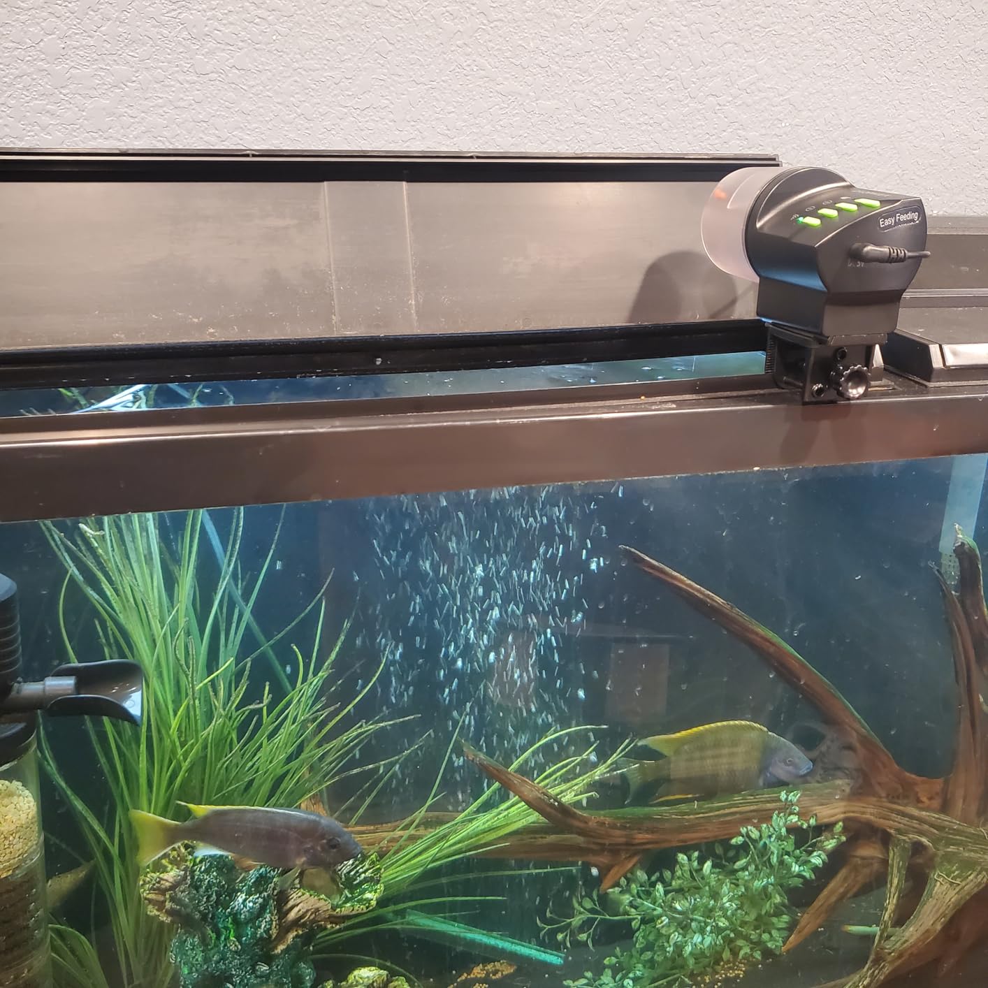 DXOPHIEX WiFi Fish Feeder Automatic Fish Feeder Automatic Dispenser customer photo 2