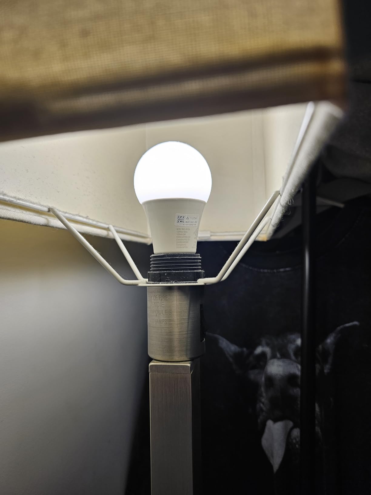 Sengled Matter A19 customer photo 2