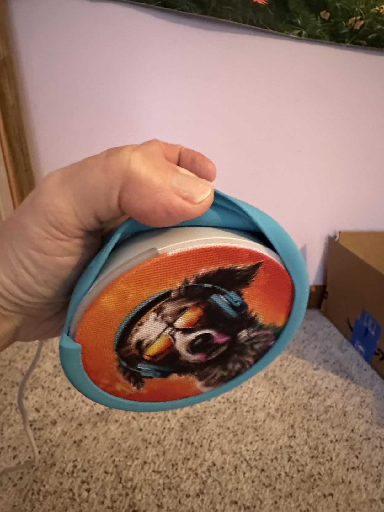 Echo Pop Kids customer photo 1