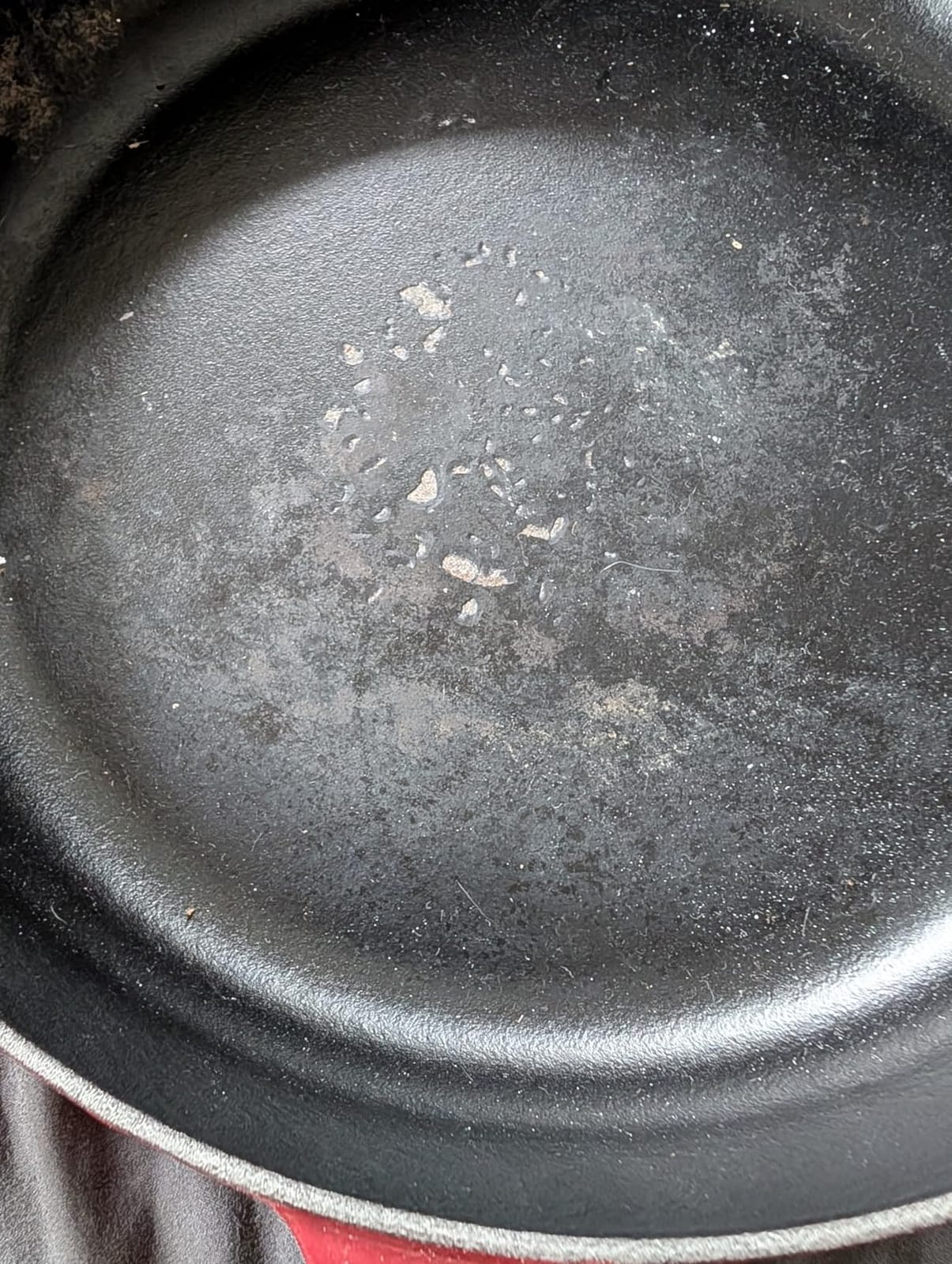 Le Creuset Everyday Pan customer photo 1