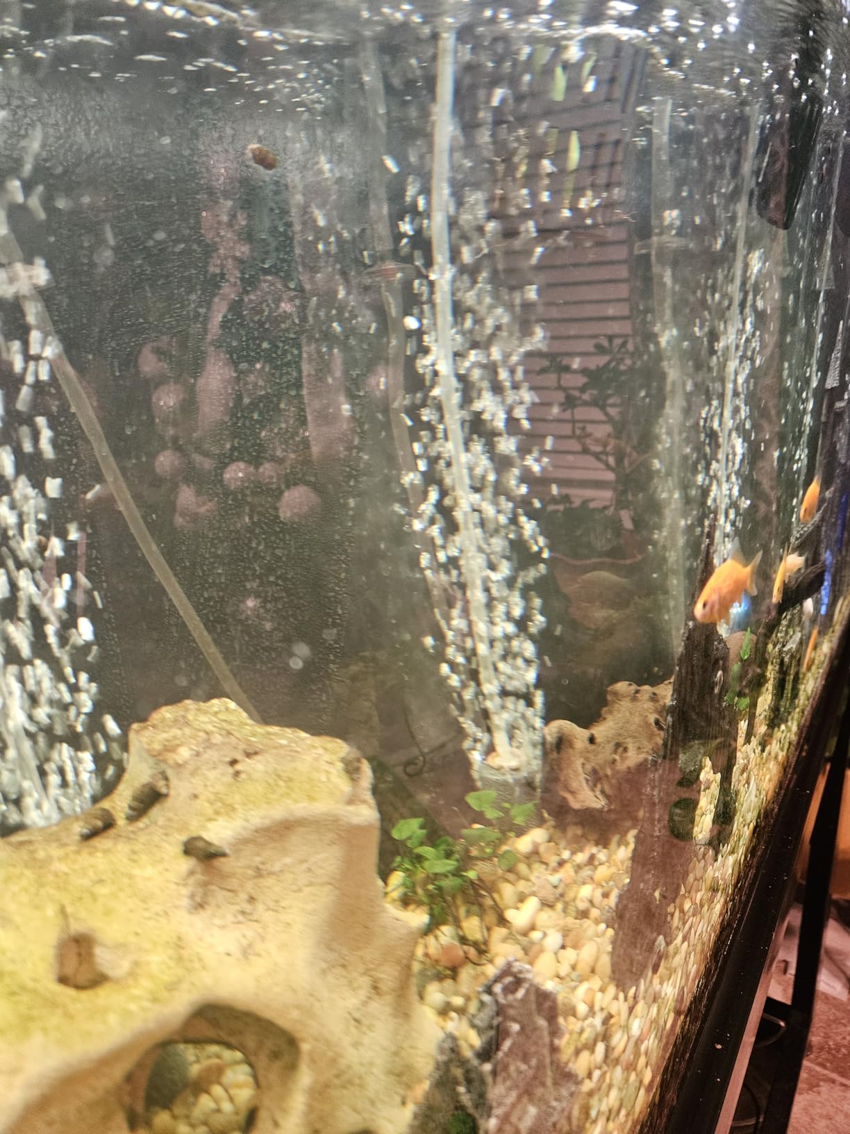 AQQA Aquarium Air Pump 15W 356GPH 4 Outlets customer photo 1