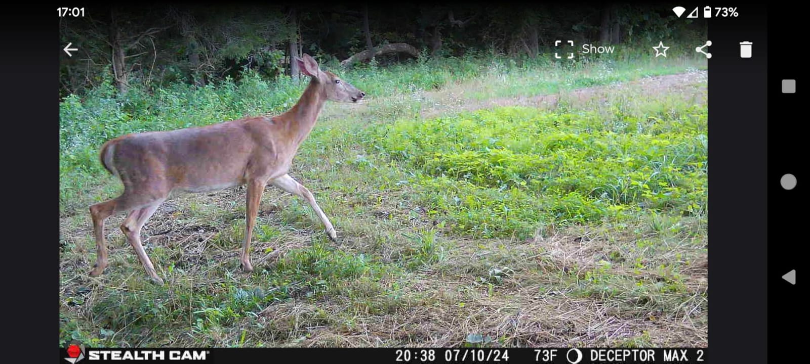 Stealth Cam Deceptor MAX 40MP 1440P QHD No-Glo LED Cellular Trail Camera customer photo 1