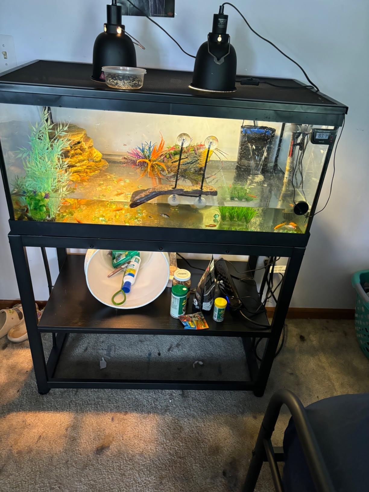 VOWNER 55-75 Gallon Fish Tank Stand, Metal Aquarium Stand, Black customer photo 1