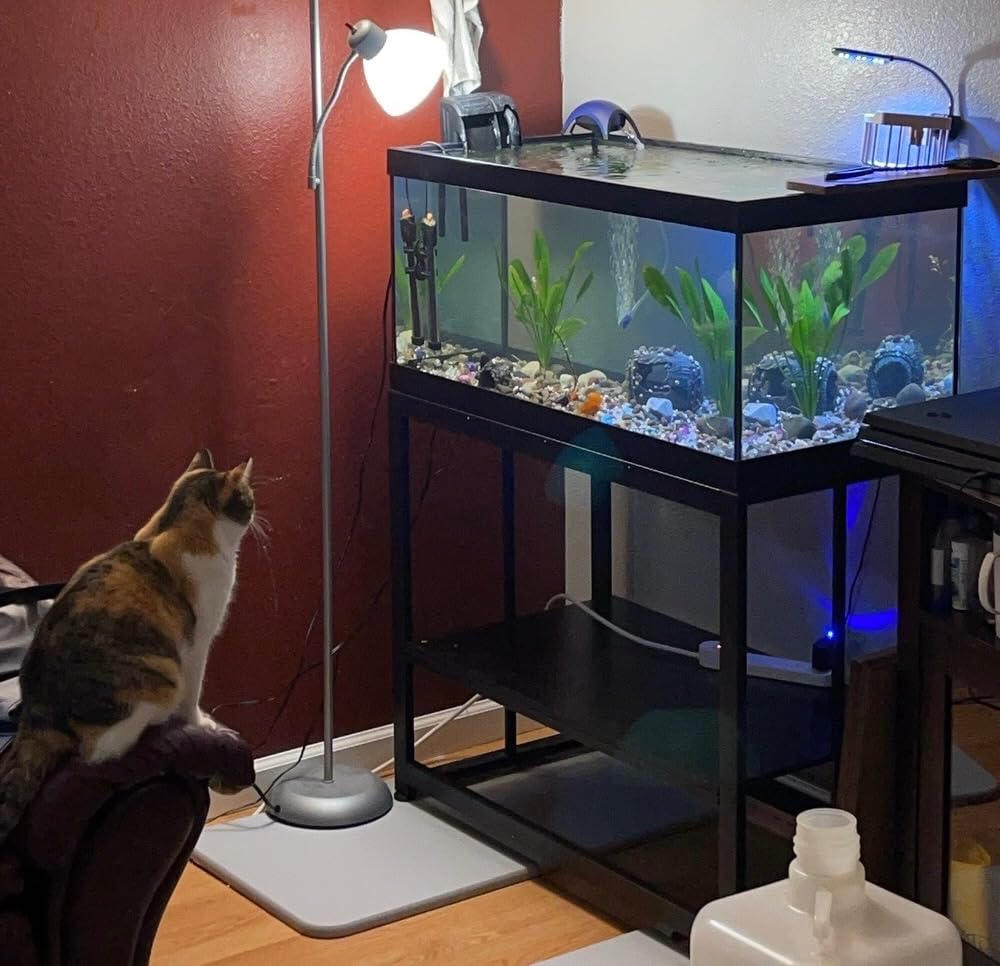 VOWNER 55-75 Gallon Fish Tank Stand, Metal Aquarium Stand, Black customer photo 2