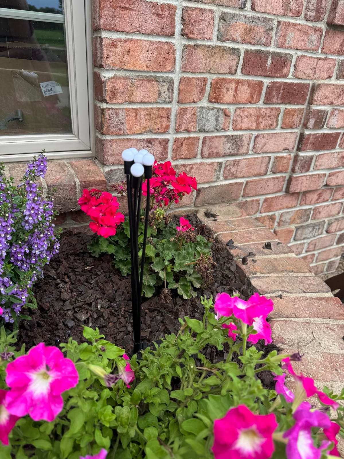 YIQU Solar Eyeball Lights customer photo 2