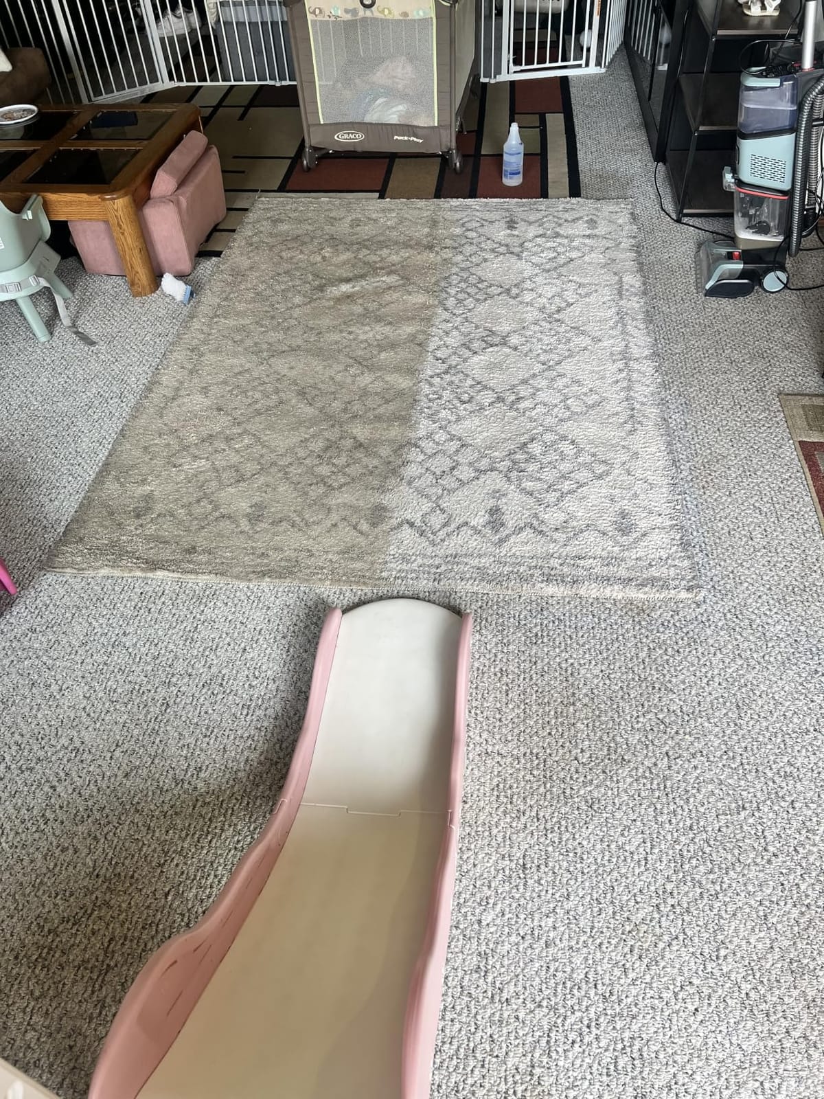 Shark CarpetXpert EX151 customer photo 1