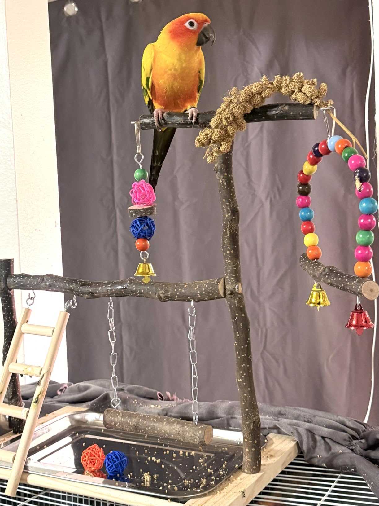kathson Parrot Play Stand Parakeet Playground Bird Jungle Gym Wood Conure Playstand Hanging Chewing Toys with Swings and Feeder Cups Bird Cage Accessories for Cockatiel Lovebirds Budgie customer photo 1