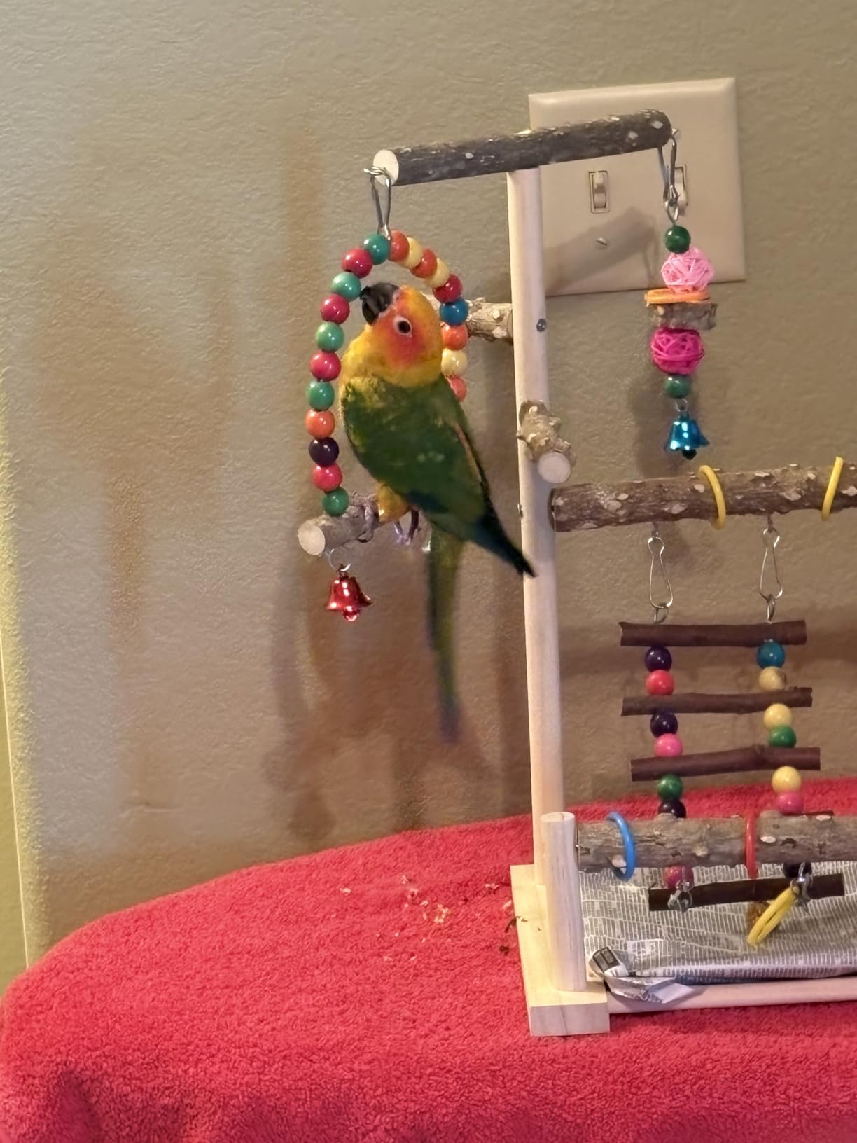 kathson Parrot Play Stand Parakeet Playground Bird Jungle Gym Wood Conure Playstand Hanging Chewing Toys with Swings and Feeder Cups Bird Cage Accessories for Cockatiel Lovebirds Budgie customer photo 2
