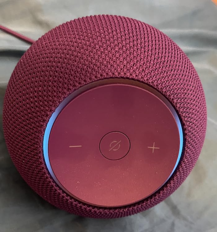 Echo Dot Max customer photo 2