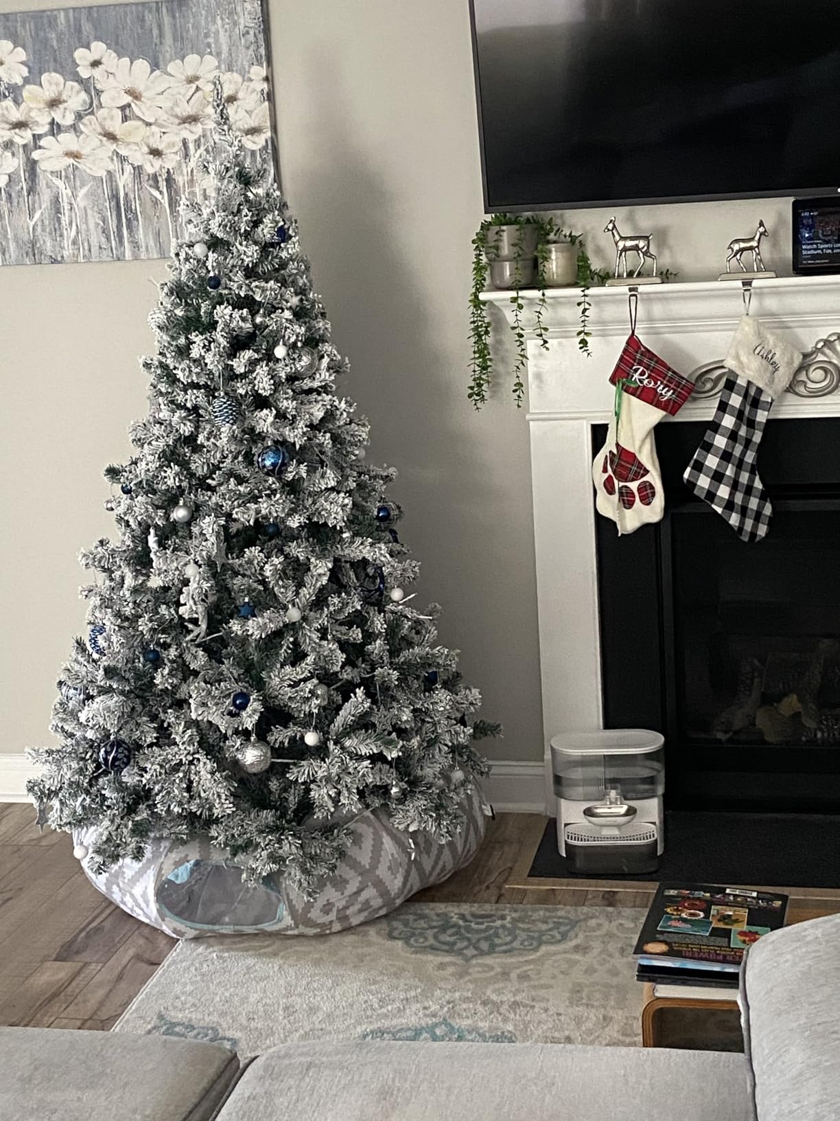 YITAHOME Remote Spruce customer photo 1