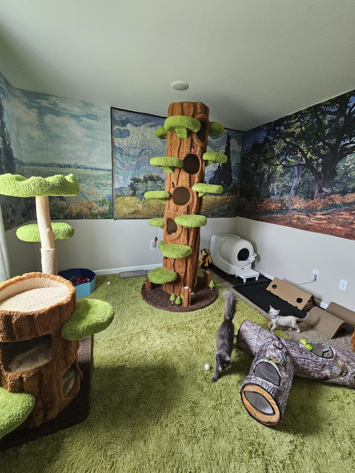 PETKIT Purobot Ultra customer photo 1
