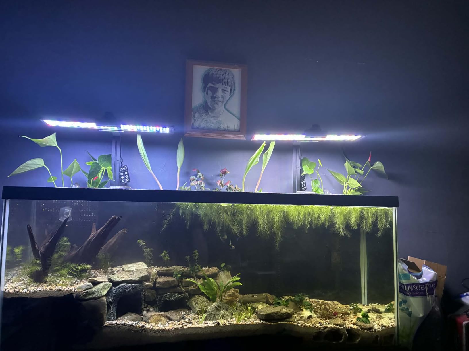 SEAOURA Aquarium Planted Light with 24/7 Timer for 48-54in Fish Tank customer photo 2