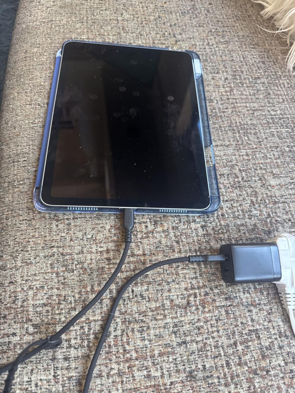 INIU USB C Charger, 30W Type C Fast Charging, 2-Port Adapter Charger Block customer photo 2