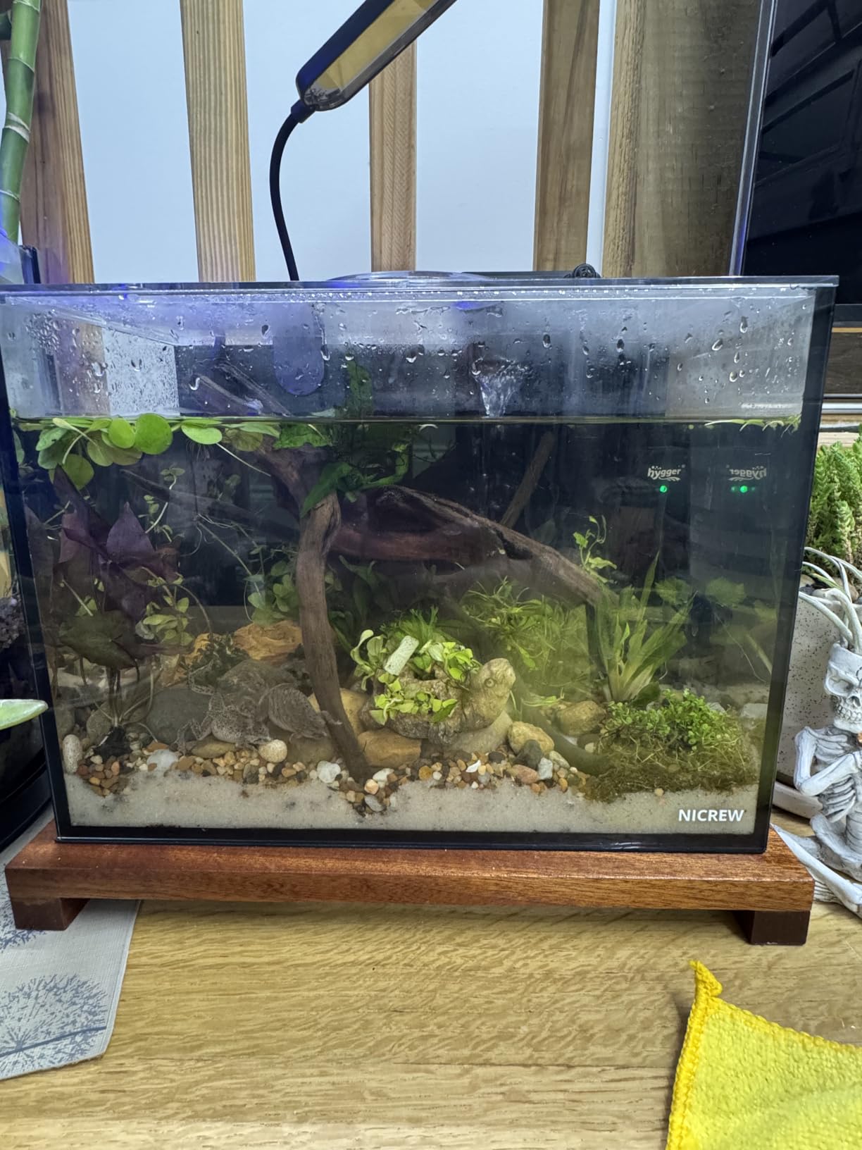 NICREW 2.5 Gallon Nano Nature Aquarium Kit Betta Fish Tank, Basic, Black customer photo 1