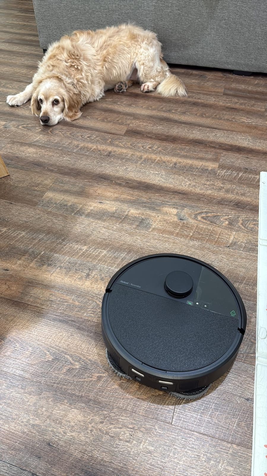 Roomba Plus 405 customer photo 1