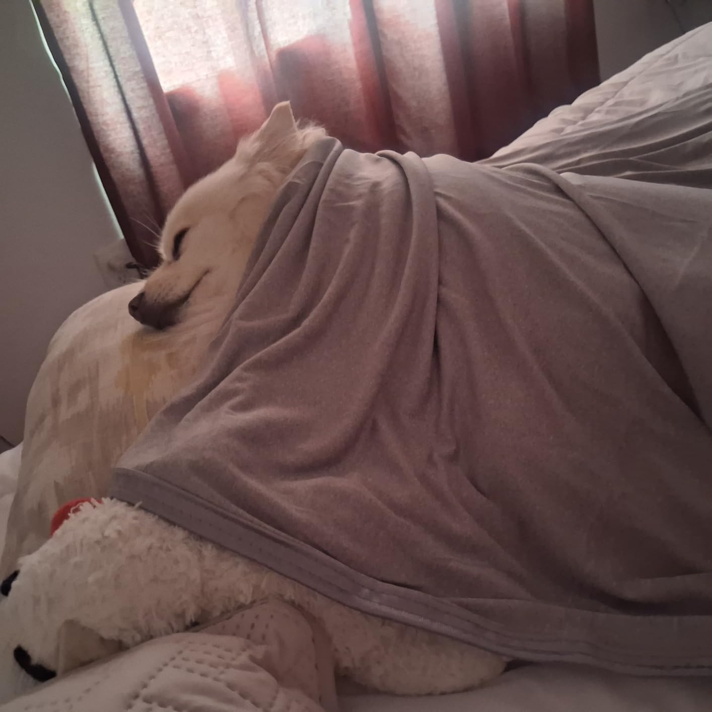 CHOSHOME Cooling Blanket for Hot Sleepers, Oversized King 96