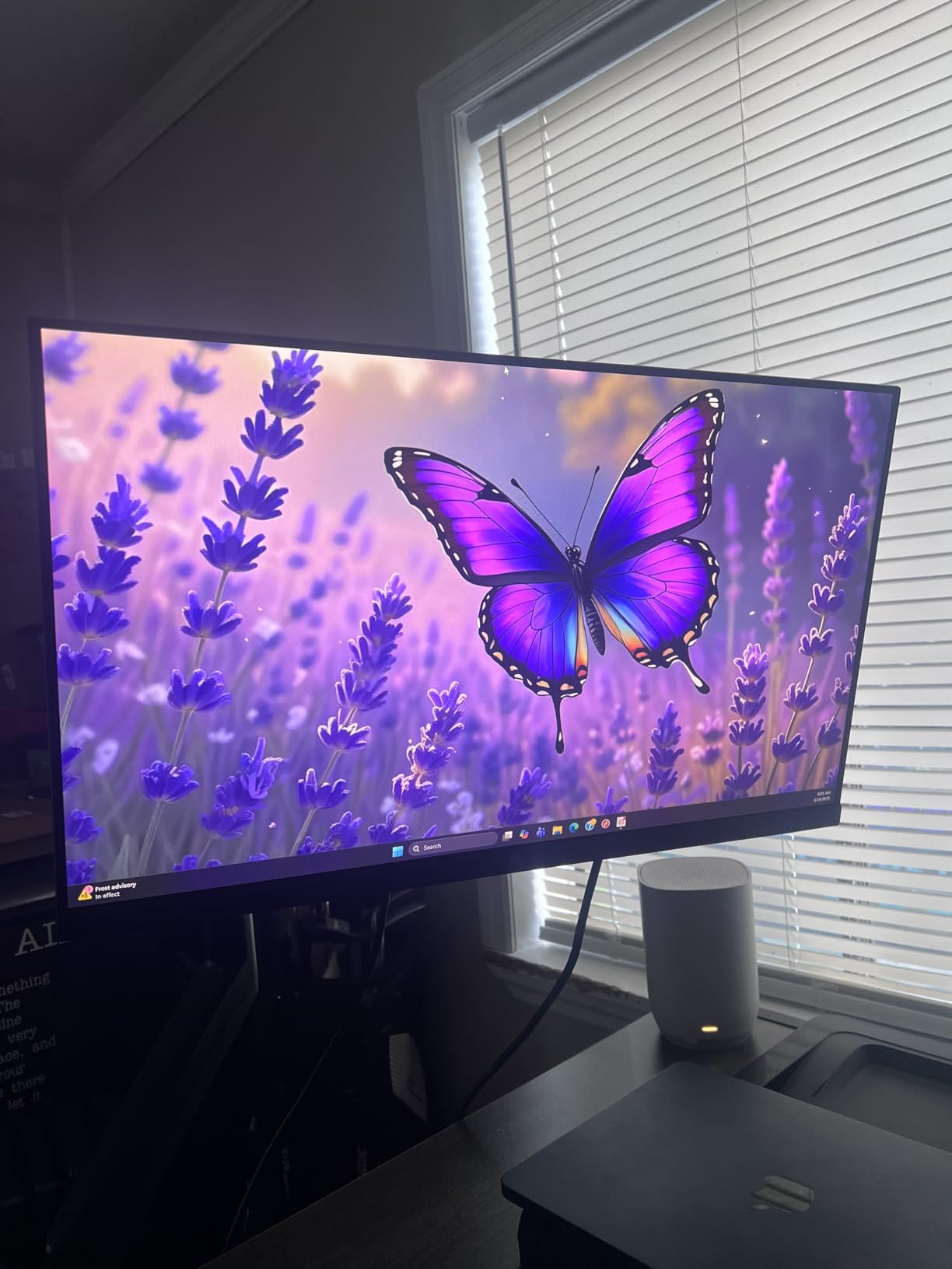 HP Series 3 27 Monitor customer photo 1