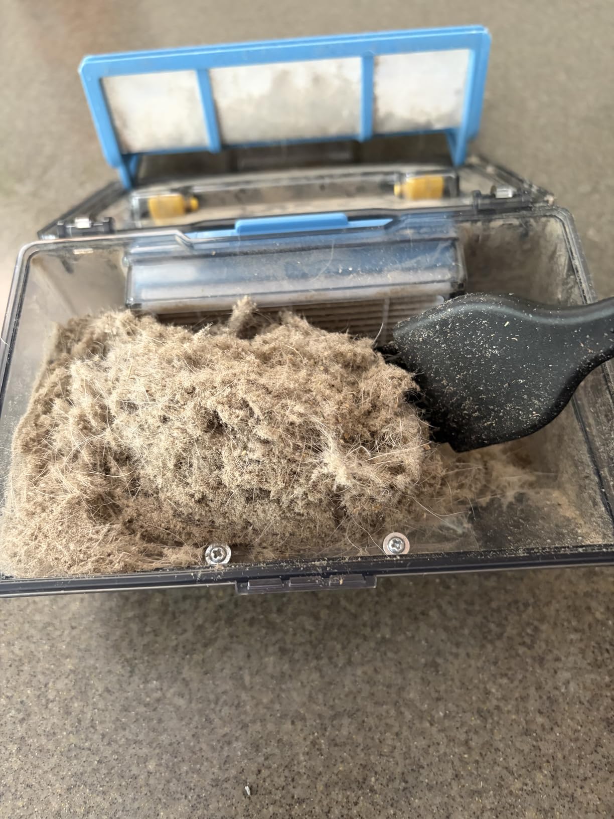 ILIFE V2 customer photo 2