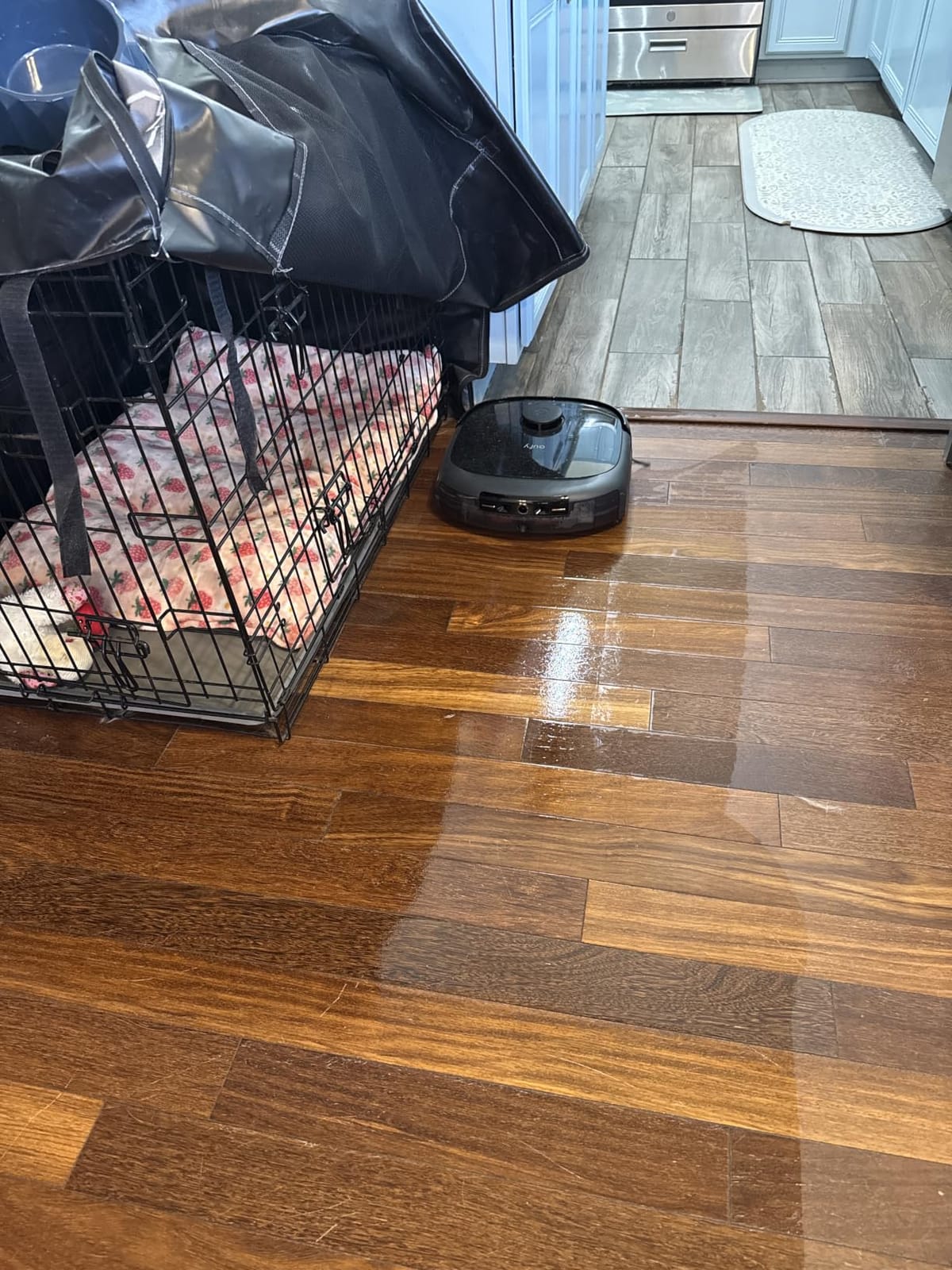 eufy E25 Robot Vacuum and Mop Combo, 20,000 Pa, HydroJet Roller Mop customer photo 1