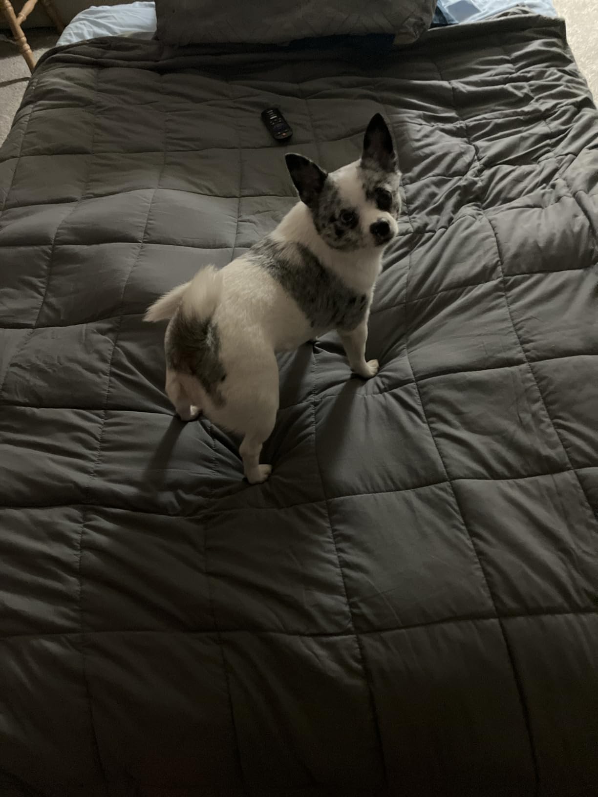 Weighted Blanket 15lbs 60