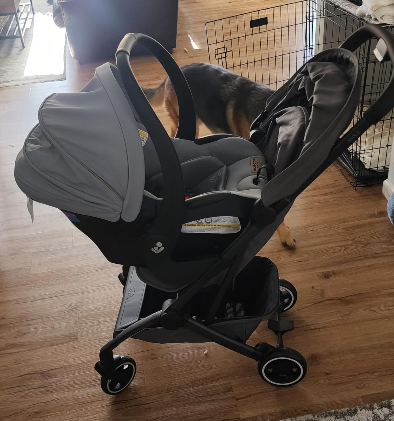 Maxi-Cosi Mico Pro Baby Infant Car Seat with Base, Ventilated Chair, Soft Headrest Pad, Easy-Install Latch, Adjustable Belt Guide, 3-Position Base, Stroller-Ready, 4-30 lbs, up to 32 in, Sea Shadow customer photo 2