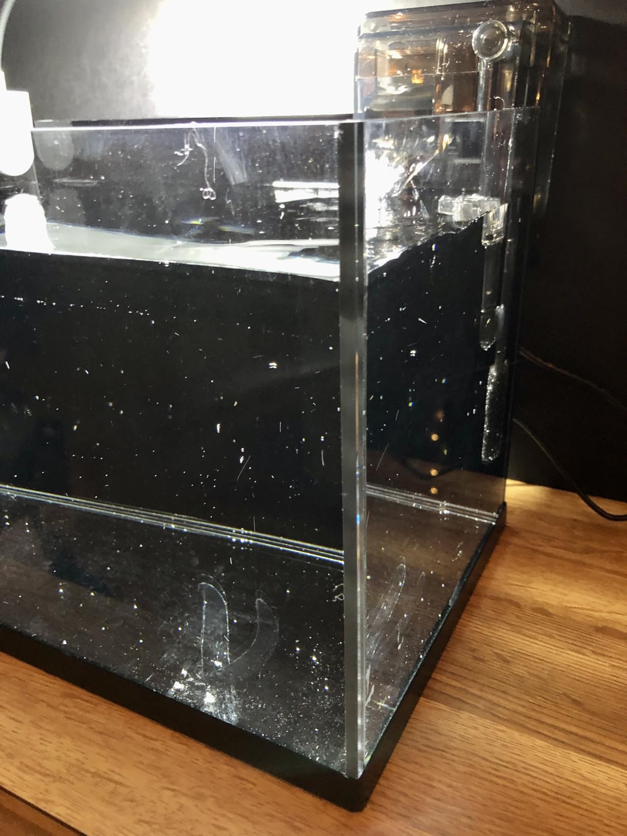 2.8 Gallon Glass Fish Tank,Small Fish Tank with Light and Filter customer photo 2
