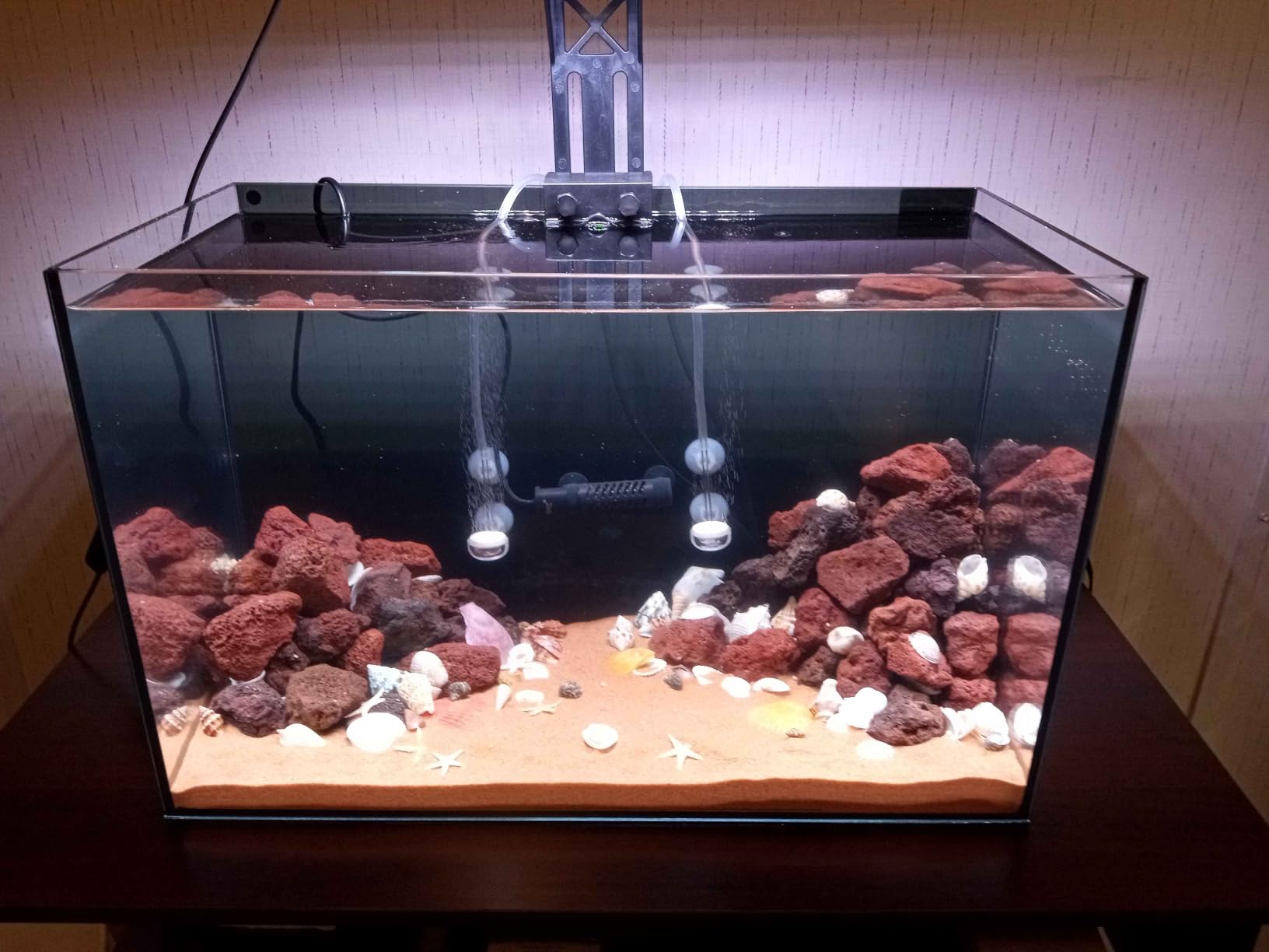 3 Gallon Glass Fish Tank Cube with Open-Back Lid, Small Aquarium Fish Bowl for Betta Goldfish Snails Shrimp Aquatic Planting, Ultra Clear Rimless Design for Desktop Small Spaces customer photo 2