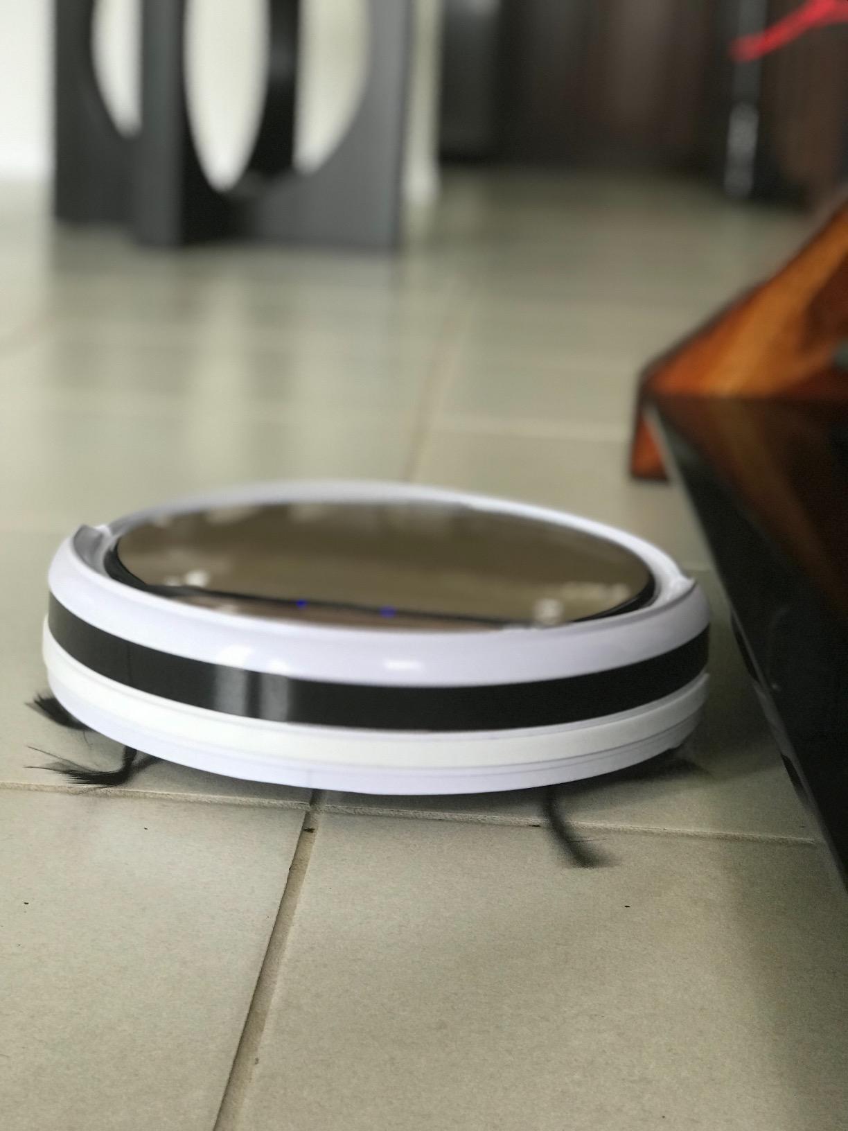 ILIFE V5s Max customer photo 1