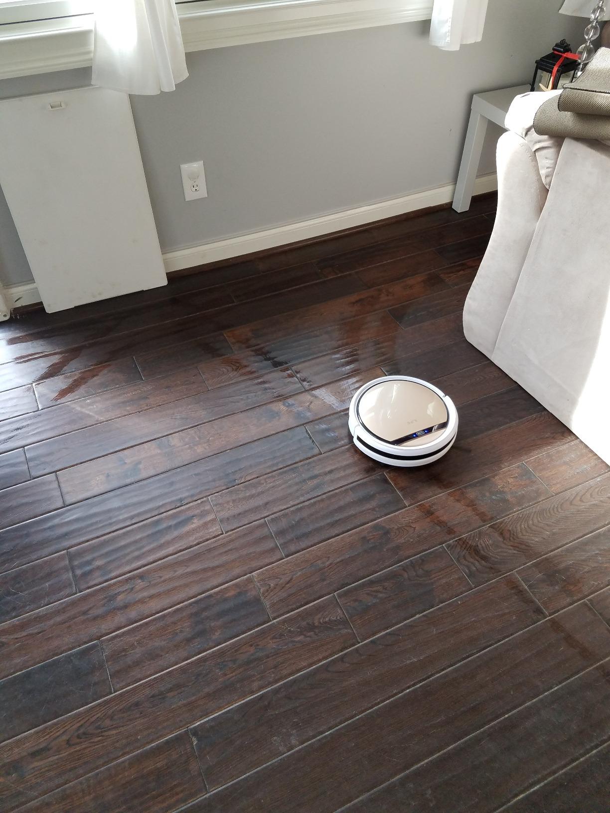 ILIFE V5s Max customer photo 2