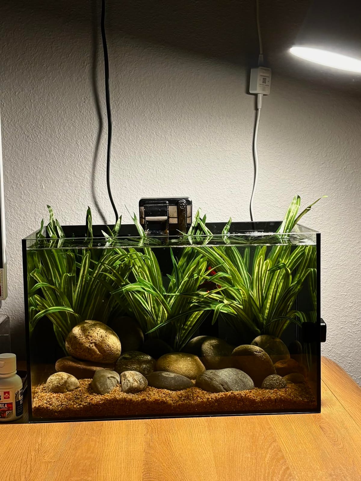 2.5 Gallon Nano Aquarium Starter Kit, Rimless Glass Fish Tank customer photo 1