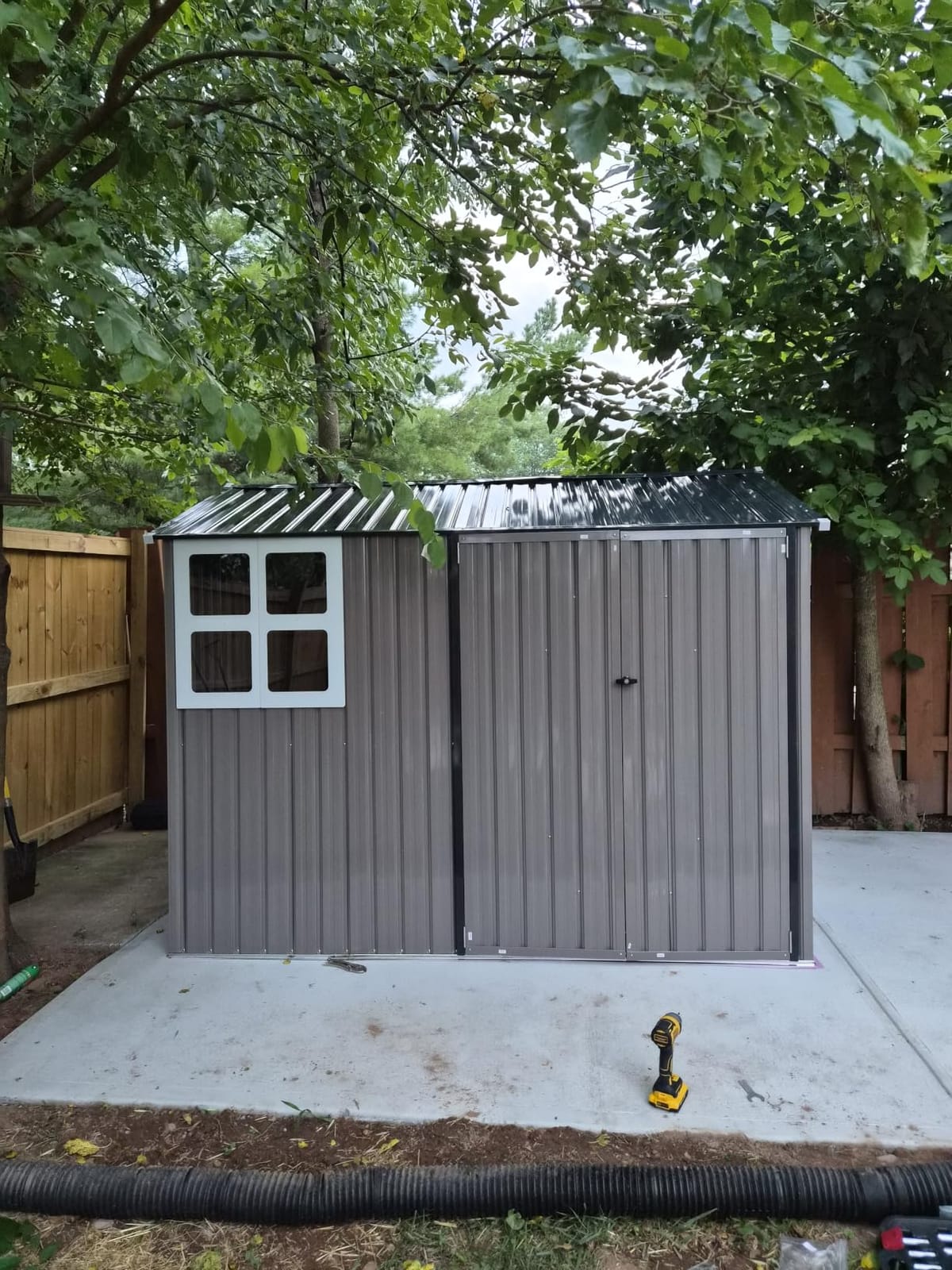 IRONCK 10x8.2FT Outdoor Storage Shed with Clear Window, Tool Shed, Brown customer photo 1