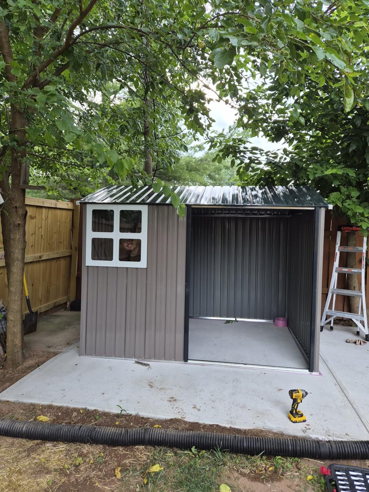IRONCK 10x8.2FT Outdoor Storage Shed with Clear Window, Tool Shed, Brown customer photo 2