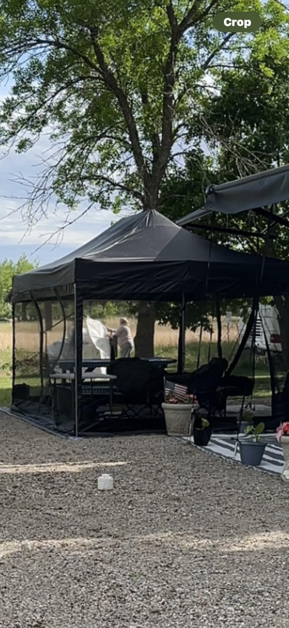 COBIZI 10x10 Heavy Duty Pop Up Canopy Tent with Mosquito Netting Sidewalls customer photo 1