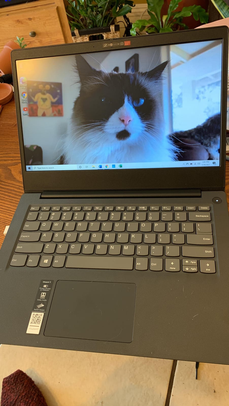 Lenovo IdeaPad Slim 3 16 customer photo 2