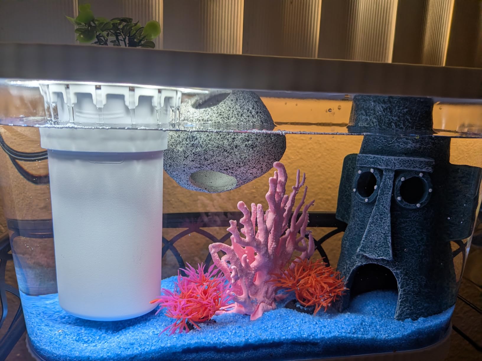 1.5 Gallon Betta Fish Tank Kit, Small Aquarium Starter Kit with Quiet Filter, LED Light & Decorations, Crystal Clear Acrylic Nano Desktop Aquarium for Shrimp, Guppy, Office Home Decor customer photo 1