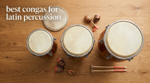 best congas for latin percussion