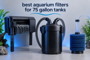 best aquarium filters for 75 gallon tanks