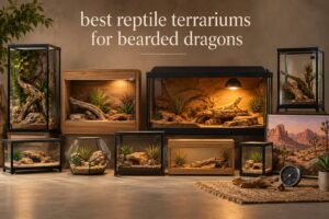 best reptile terrariums for bearded dragons