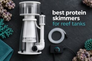 best protein skimmers for reef tanks